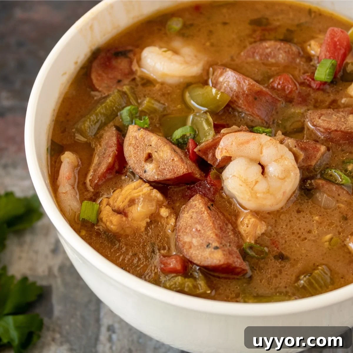 75 Foods That Start With A: Complete A-to-Z List of A Foods 5 a bowl of gumbo.
