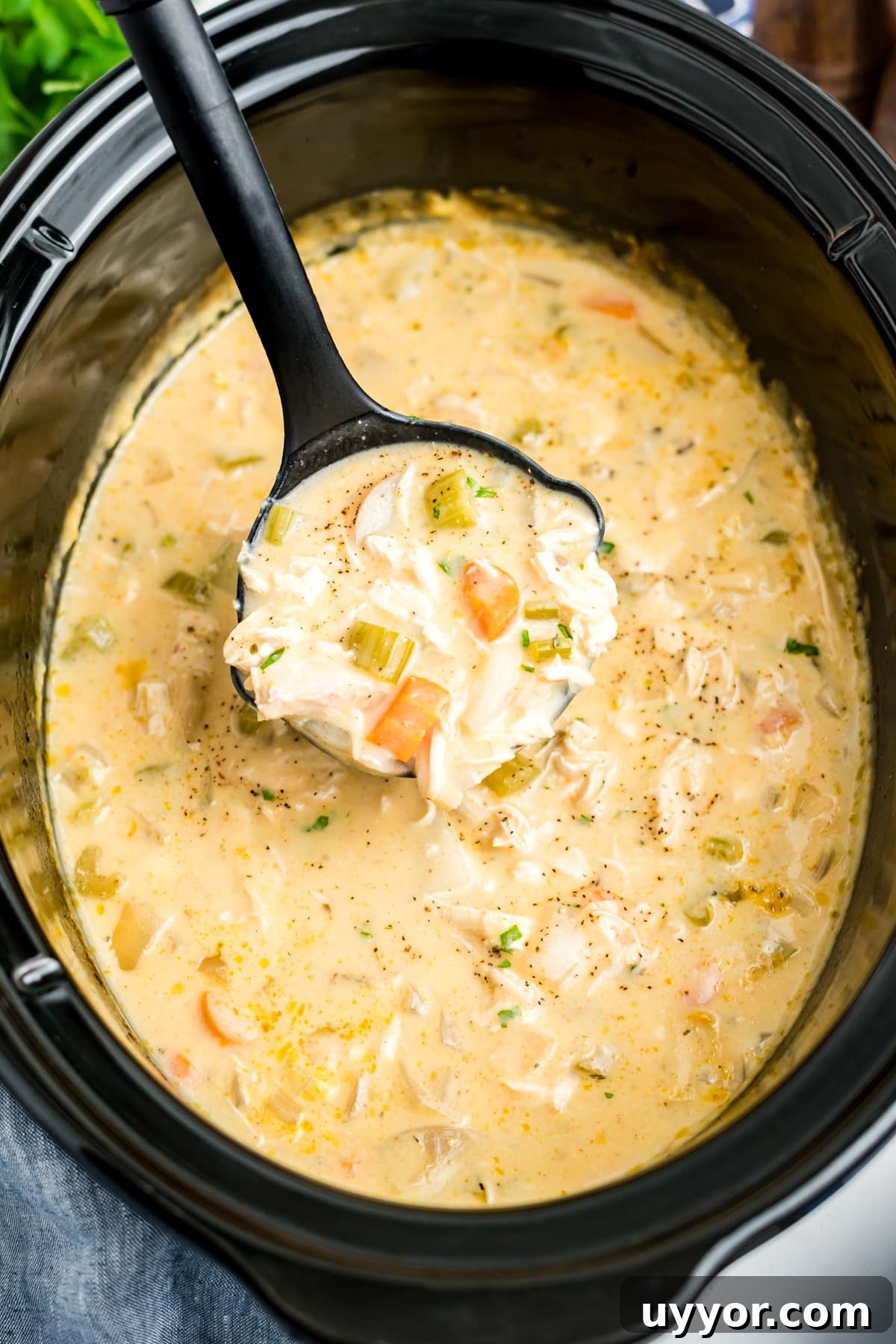A ladle lifting up a serving of creamy chicken stew. 