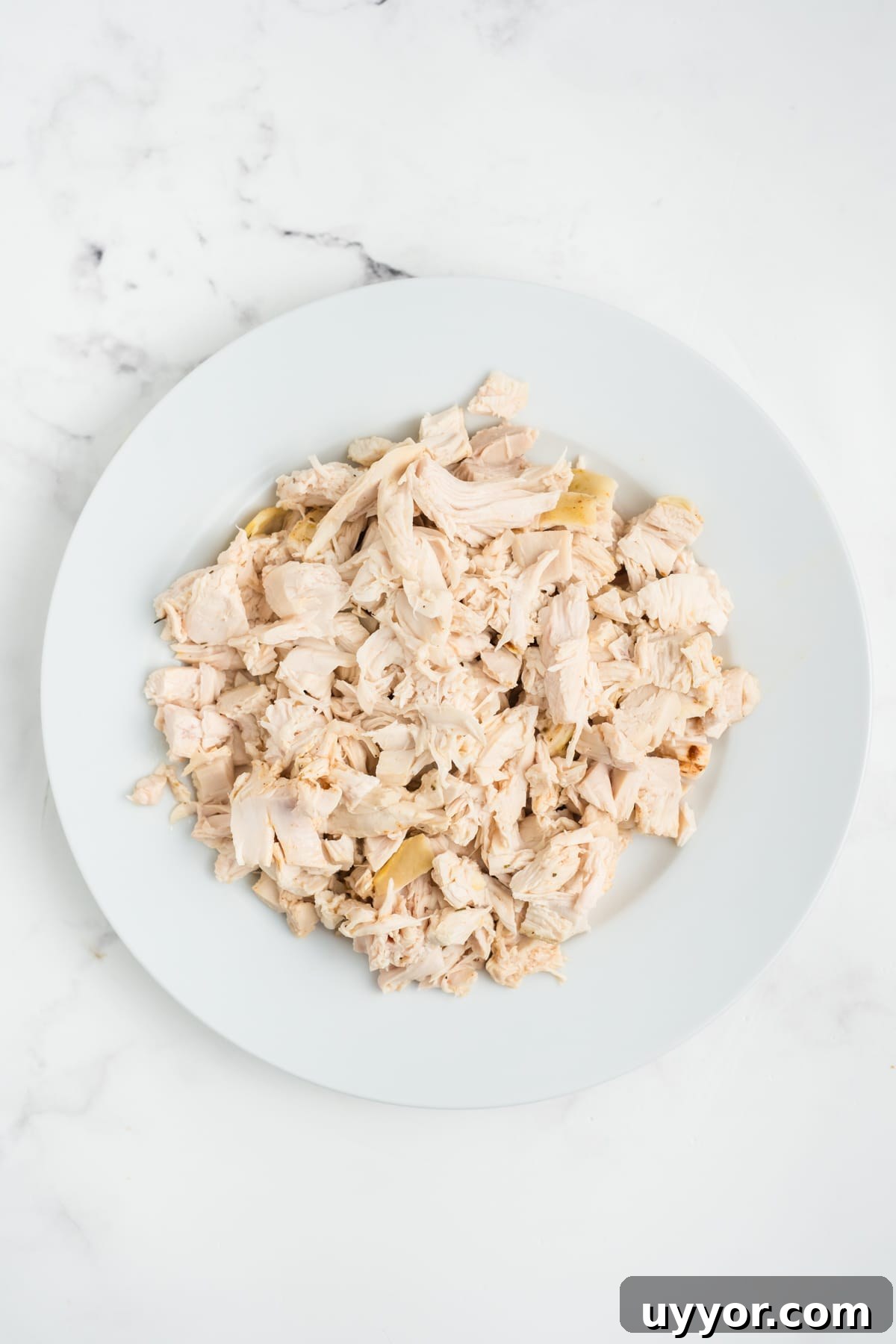 Chicken shredded on a plate. 