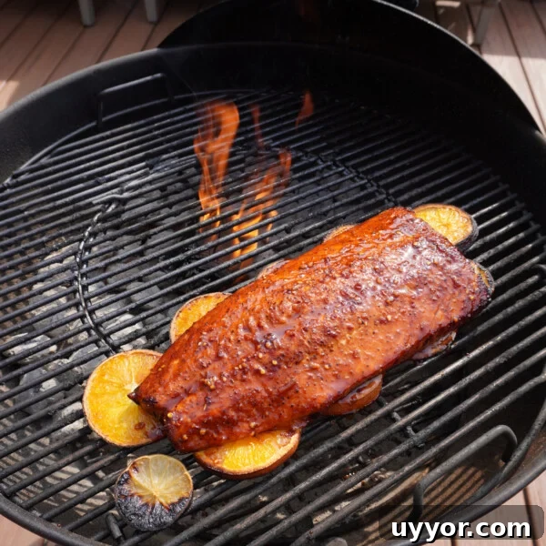 Crispy Cajun Salmon Bites with Zesty Lemon Dipping Sauce 12 citrus salmon cooked on the grill on a bed of sliced oranges and limes.