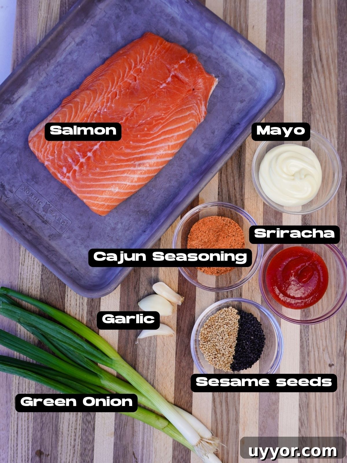 Crispy Cajun Salmon Bites with Zesty Lemon Dipping Sauce 3 Crispy Cajun salmon bites ingredients.
