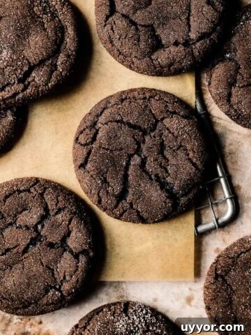 Chocolate gingerbread cookies on brown parchment paper.