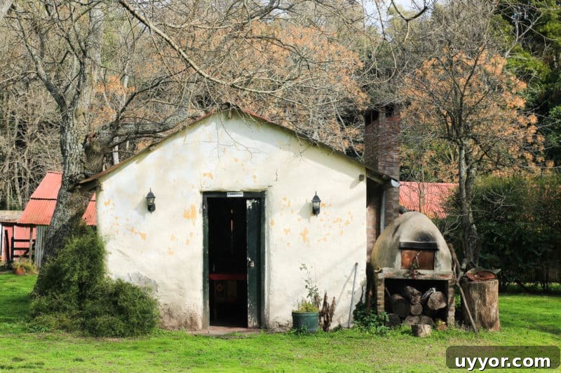 La Chela, Rauch: Guide to Visiting the Buenos Aires Province Town 32 La Chela