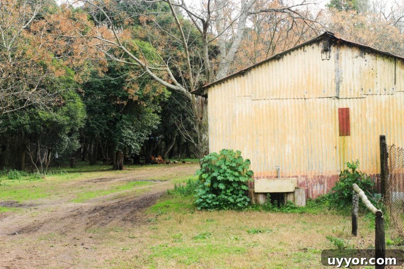 La Chela, Rauch: Guide to Visiting the Buenos Aires Province Town 33 La Chela
