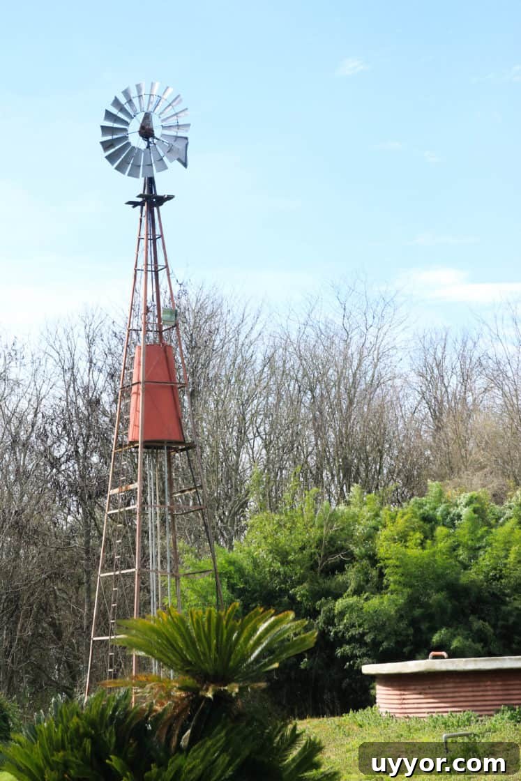 La Chela, Rauch: Guide to Visiting the Buenos Aires Province Town 6 La Chela