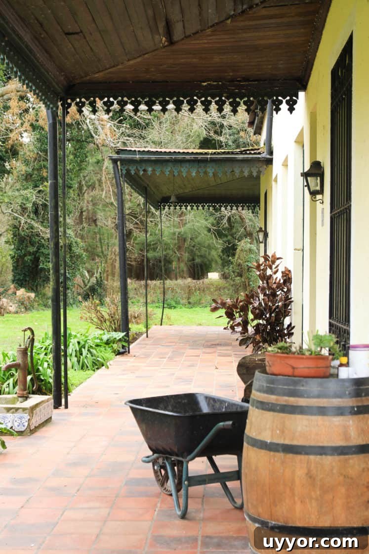La Chela, Rauch: Guide to Visiting the Buenos Aires Province Town 7 La Chela