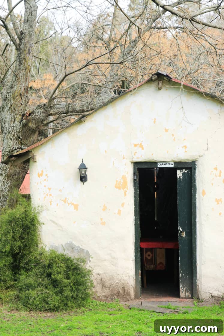 La Chela, Rauch: Guide to Visiting the Buenos Aires Province Town 8 La Chela