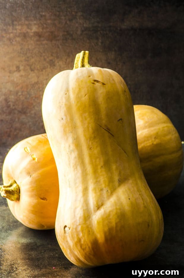 2 butternut squash