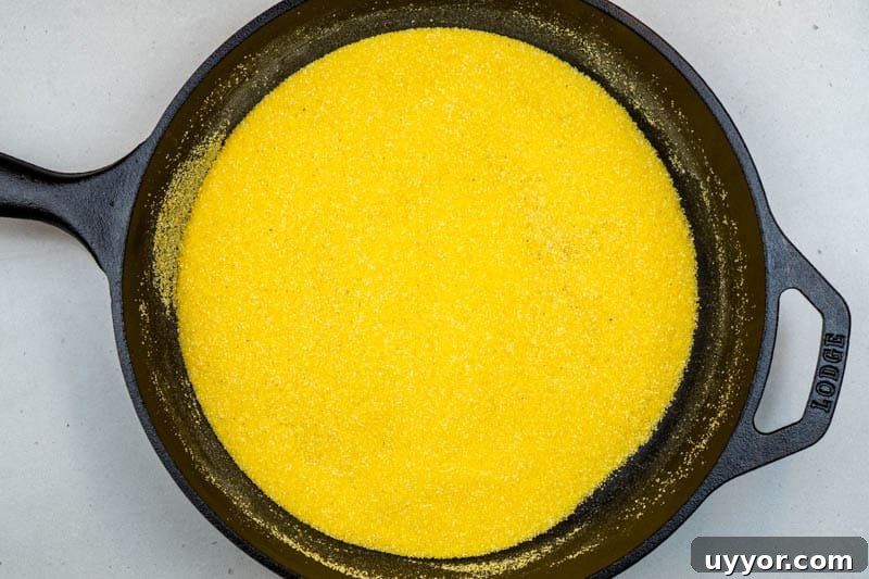 Southern Skillet Cornbread Recipe Without Buttermilk 4 Toasting the cornmeal
