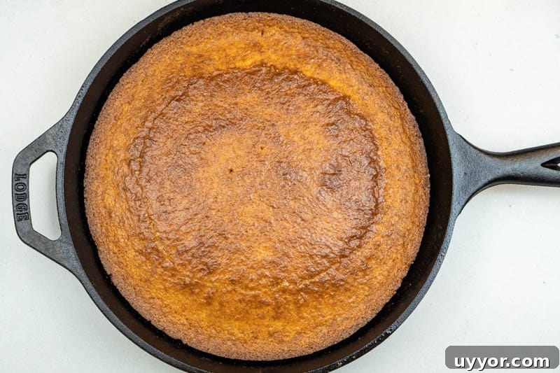 Southern Skillet Cornbread Recipe Without Buttermilk 7 Removing the cornbread from the oven