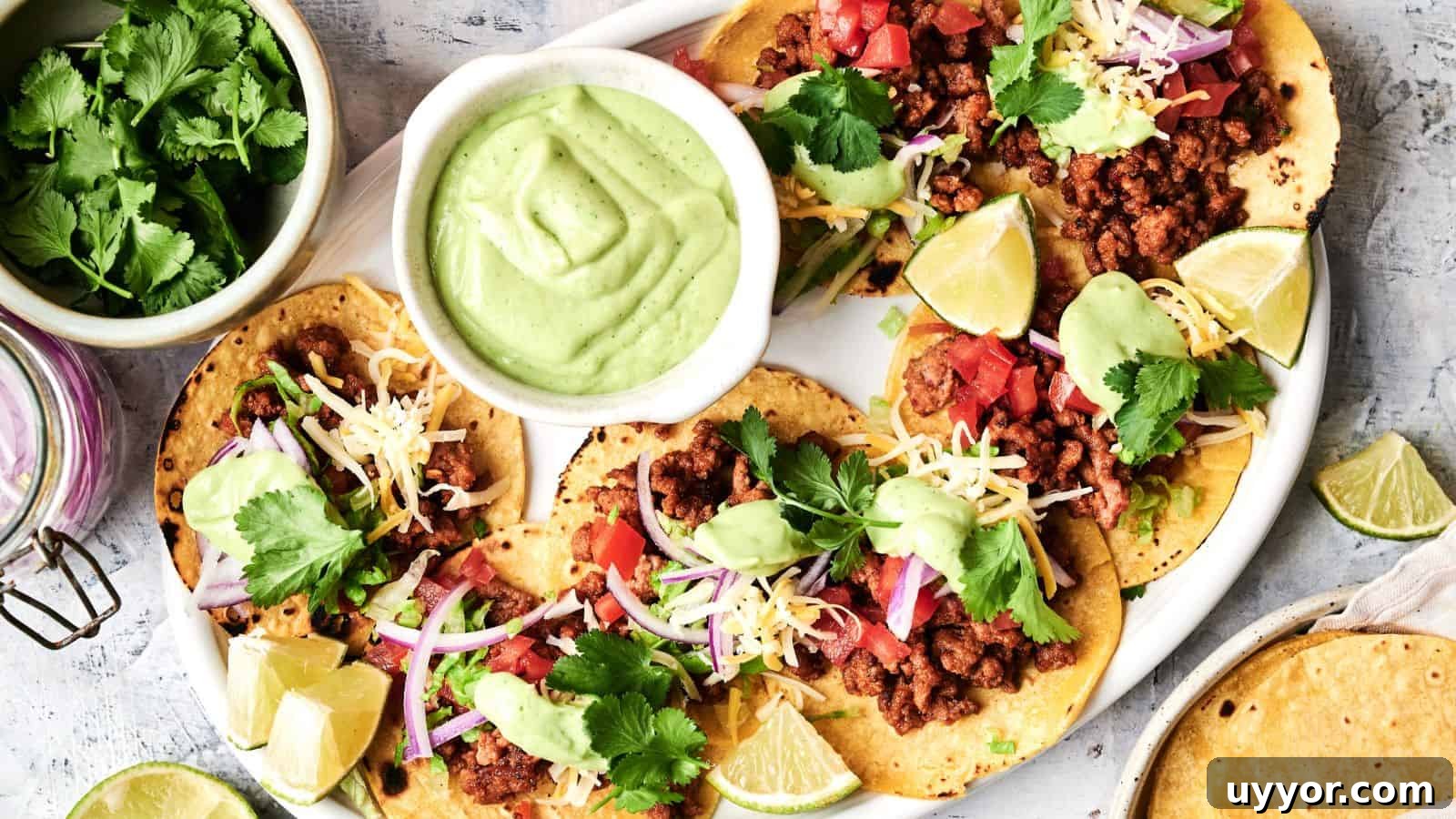 A plate of beef tacos topped with cheese, tomatoes, red onions, and cilantro, served with avocado sauce and lime wedges. A bowl of cilantro and a jar lid are next to the plate.