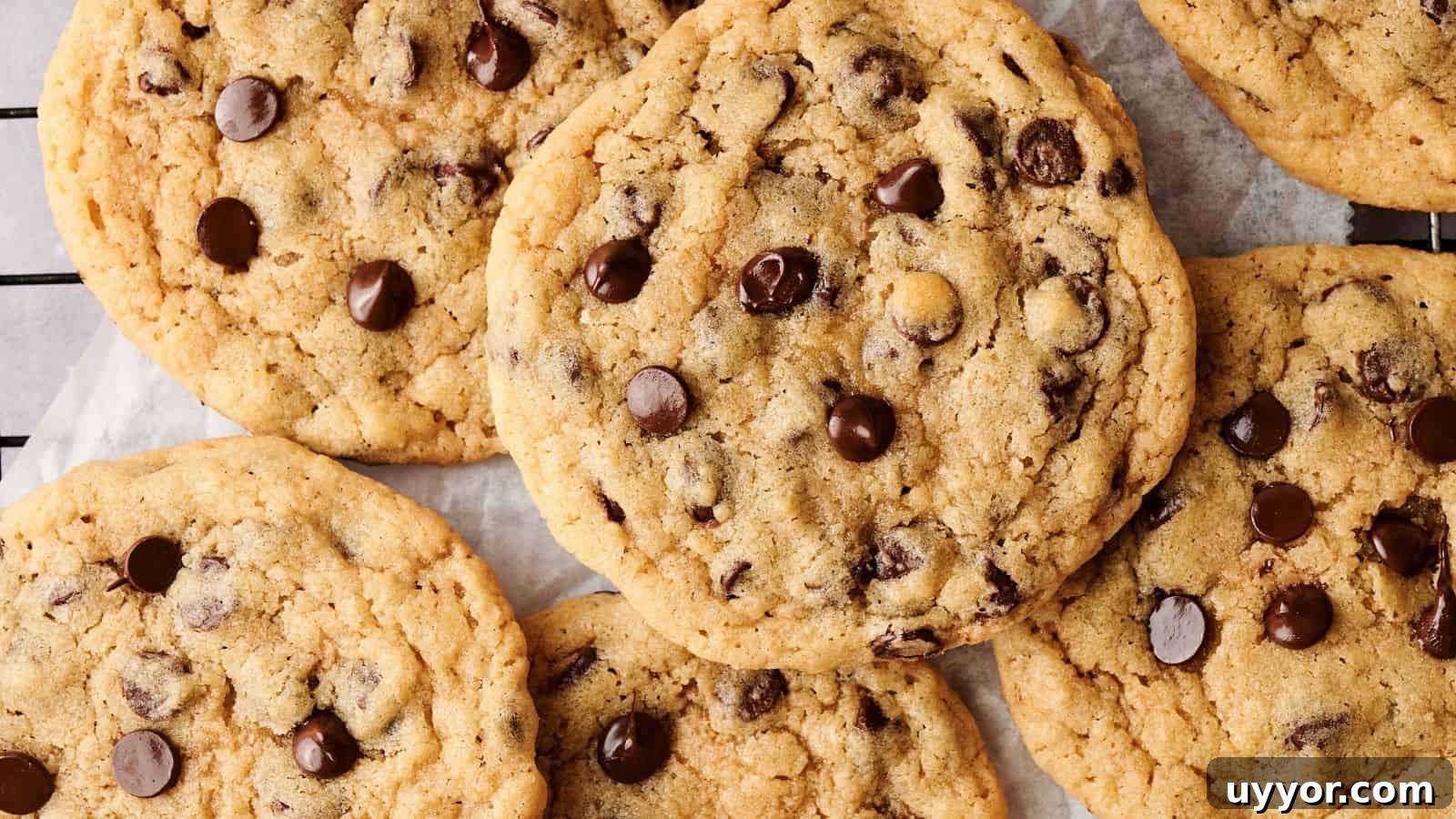 A hand holding a chocolate chip cookie on a cooling rack.