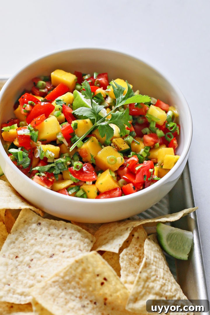 Fresh Mango and Tomato Salsa Recipe for Summer Parties 6 fresh tomato and mango salsa in a white bowl surrounded by tortilla chips on a metal tray