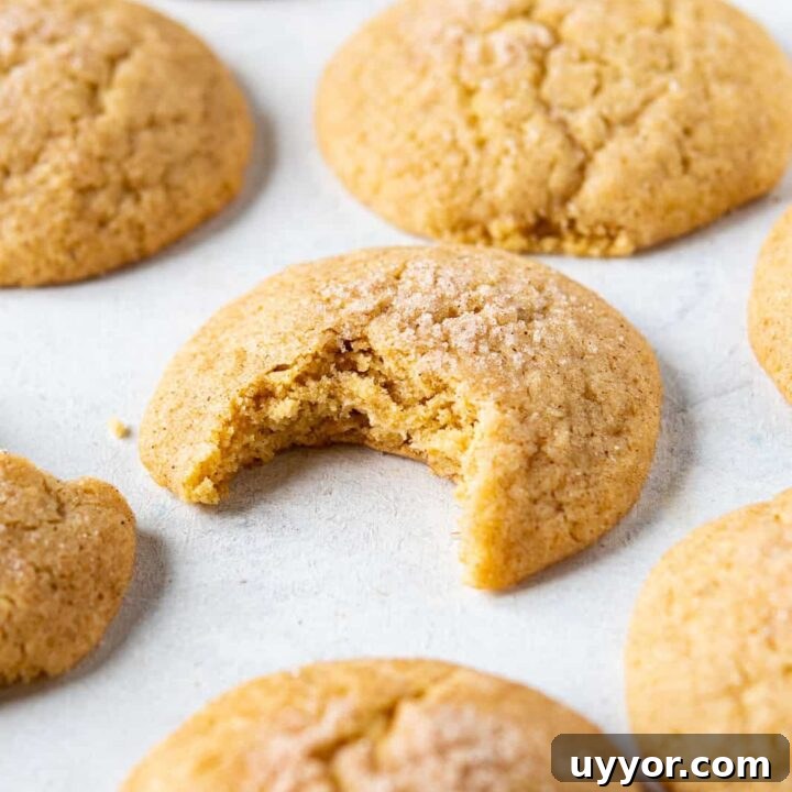 a tray of cinnamon cookies.
