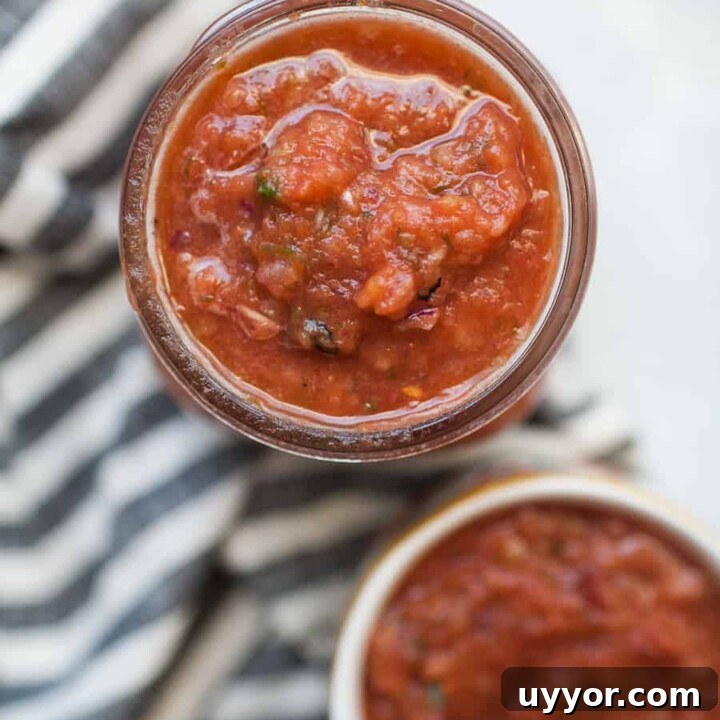 Five Minute Blender Salsa