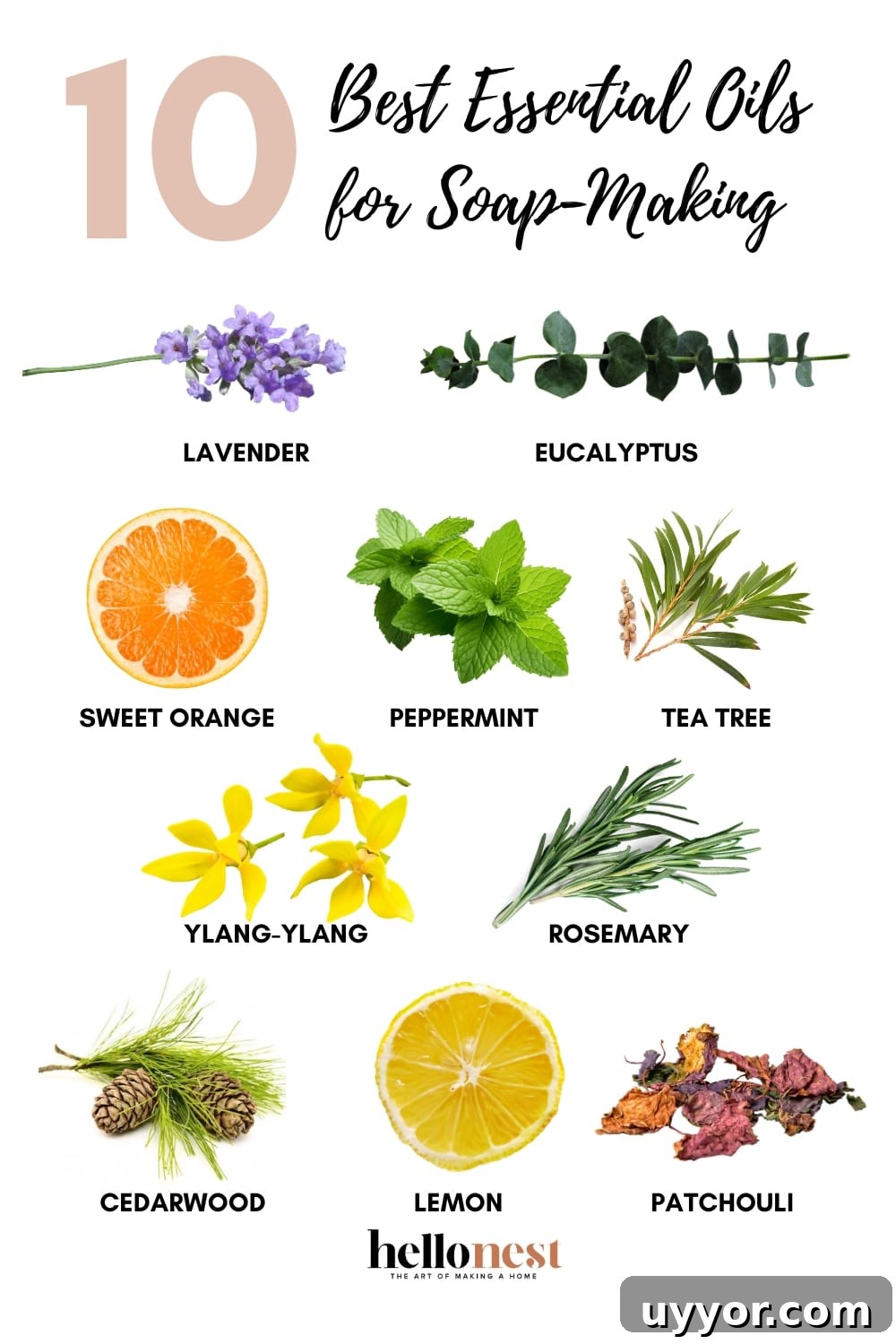 Top Essential Oils for Soap Making: 10 Fragrant Picks 9 Essential oils for soap