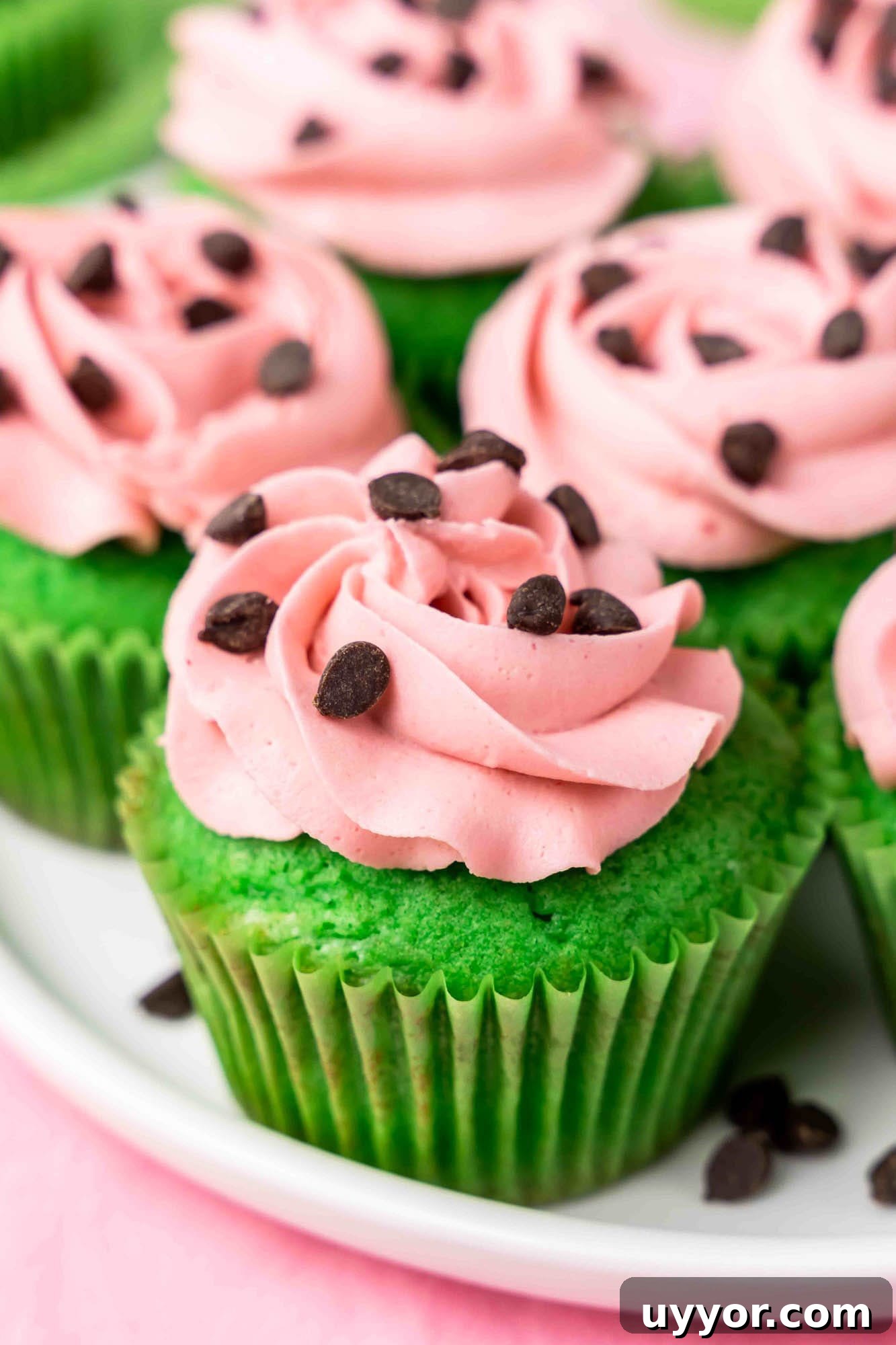 Watermelon Cupcakes Recipe: Refreshing Summer Dessert Idea 2 Watermelon like cupcakes with mini chocolate chips as seeds