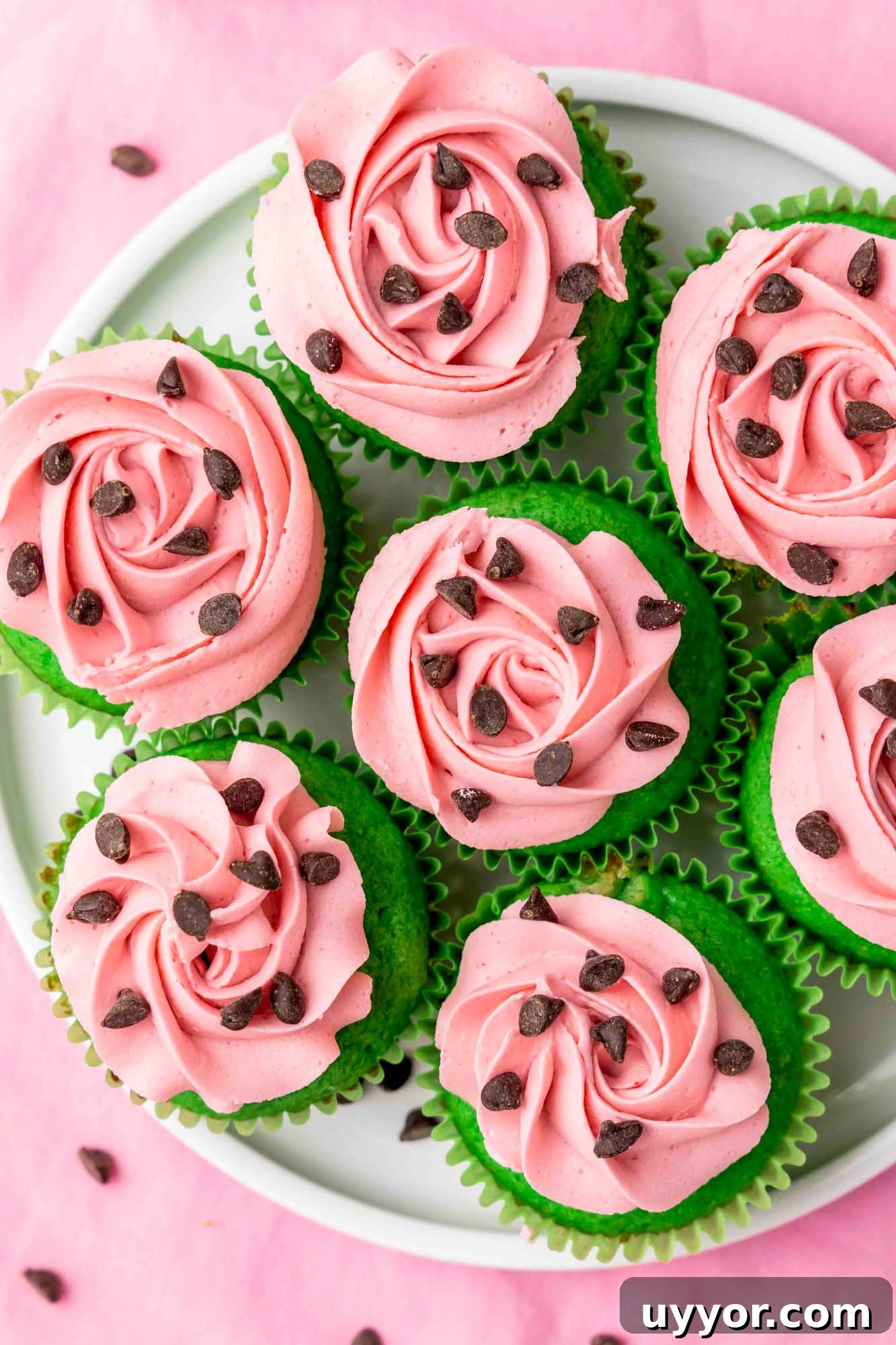 Watermelon Cupcakes Recipe: Refreshing Summer Dessert Idea 3 Overhead shot of watermelon cupcakes on a white plate