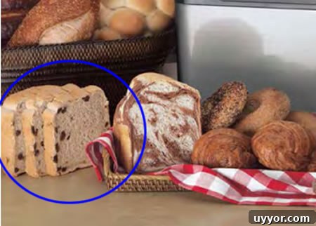Zojirushi Bread Machine Tip: How to Handle the Add Beep 5 Raisins on edge