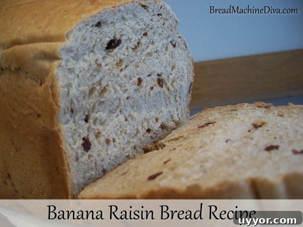 Zojirushi Bread Machine Tip: How to Handle the Add Beep 6 Banana Raisin Bread