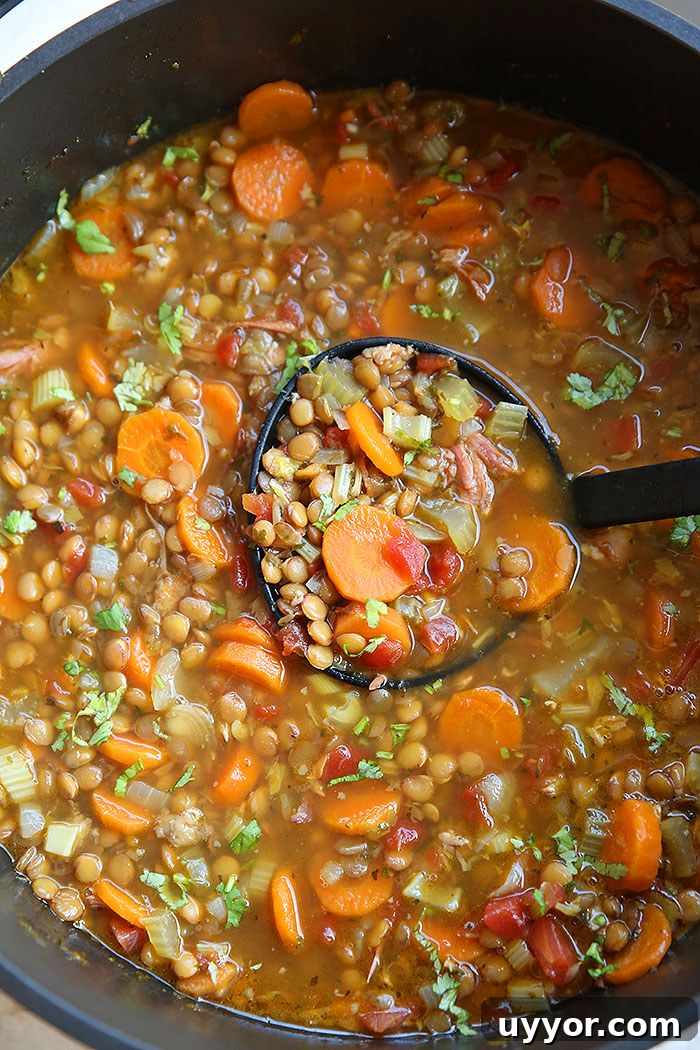 Hearty Ham Bone and Lentil Soup Recipe for Deep Flavor 2 A large soup pot of ham bone lentil soup with a black ladle sitting on top with a scoop of soup.