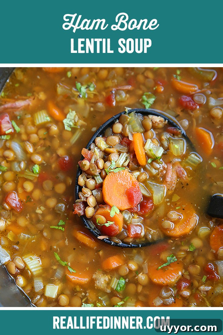 Hearty Ham Bone and Lentil Soup Recipe for Deep Flavor 15 Pinterest picture with the text of the title of the recipe at the top and a photo of a large soup pot of ham bone lentil soup and a serving ladle held from the right on top of the soup with soup in the ladle.