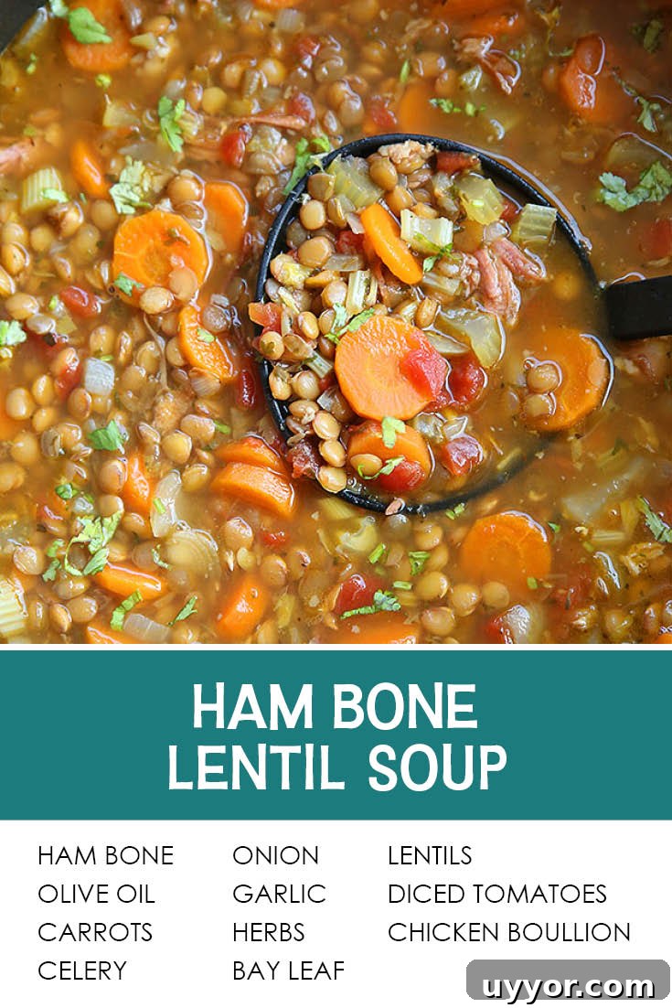 Hearty Ham Bone and Lentil Soup Recipe for Deep Flavor 8 Pinterest picture of ham bone lentil soup with a serving spoon on top of the soup with soup in it. The text of the title is at the bottom with the text of the ingredients list directly below it.