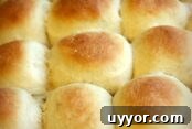Hearty Ham Bone and Lentil Soup Recipe for Deep Flavor 9 Three rows of Baked Lunch Lady Cafeteria Rolls for a total of nine rolls.
