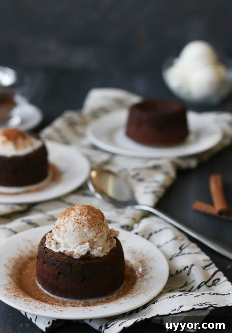 Spicy Chocolate Lava Cakes with Molten Centers 3 cinnamon on top of a spicy molten chocolate lava cake that has a scoop of vanilla ice cream on top