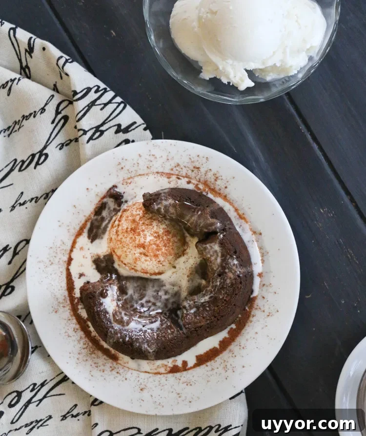 Spicy Chocolate Lava Cakes with Molten Centers 4 an overhead view of A spicy molten chocolate lava cake, broken open with ice cream melted in the center