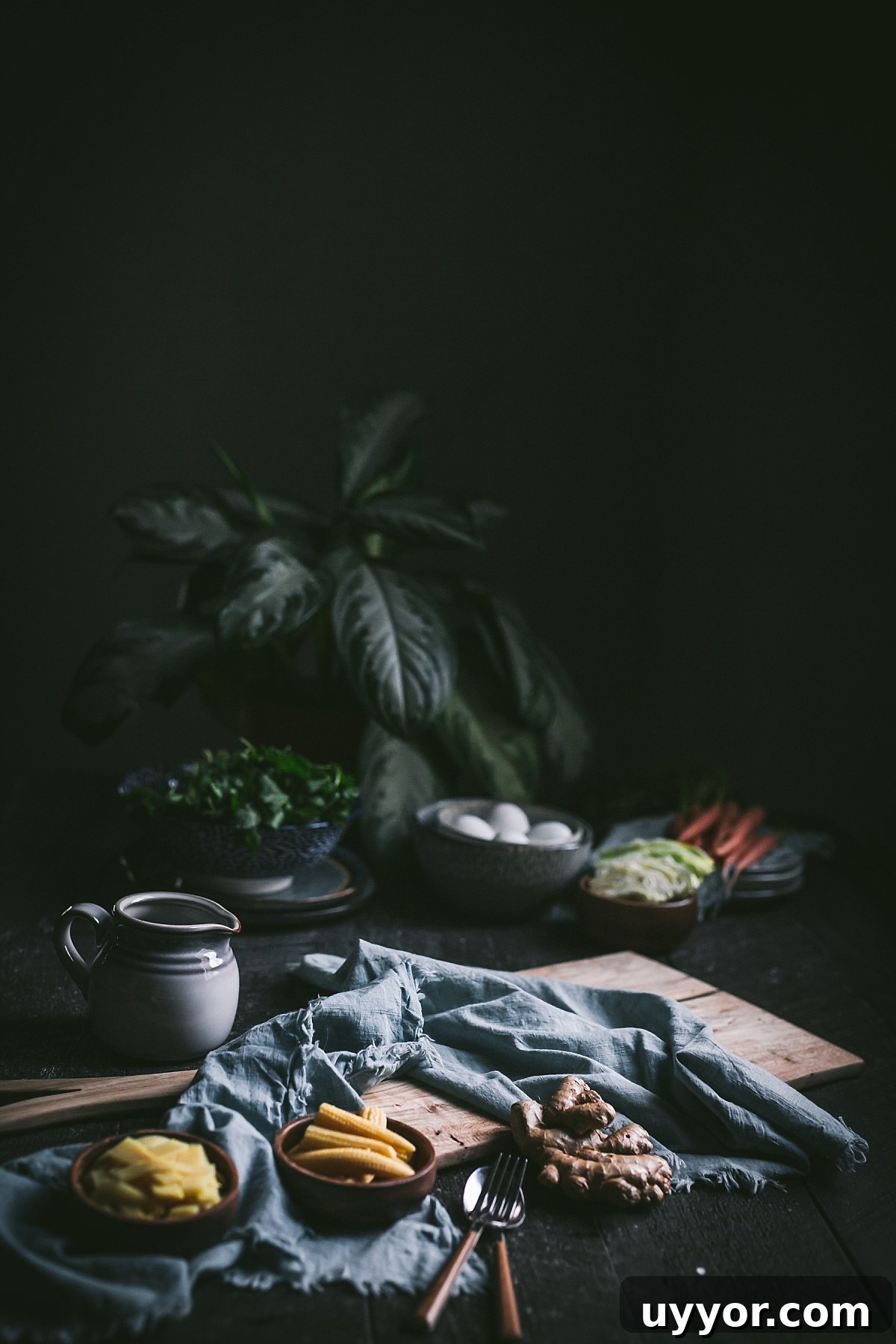 Authentic Filipino Chicken Pancit Recipe with Stir-Fry Noodles 11 Still Life image ready to make pancit