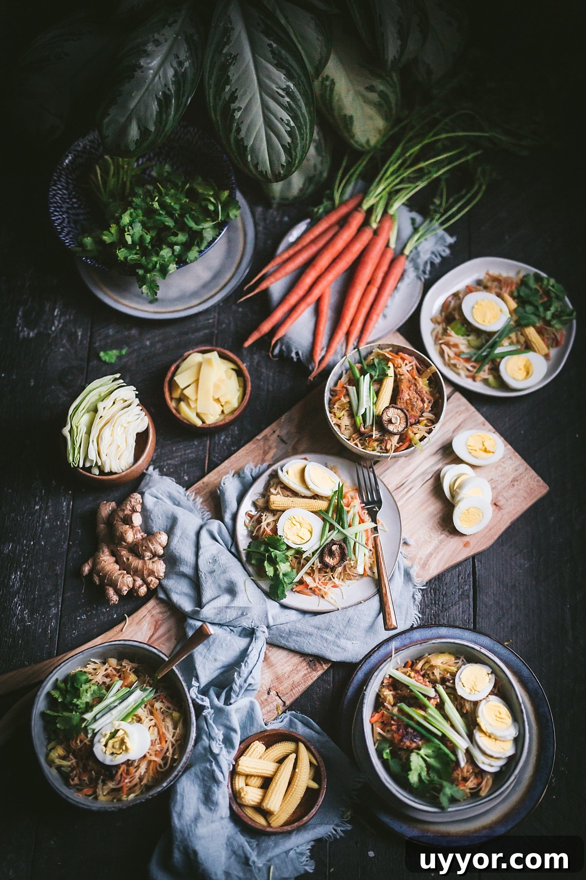 Authentic Filipino Chicken Pancit Recipe with Stir-Fry Noodles 14 overhead shot of filipino chicken pancit recipe