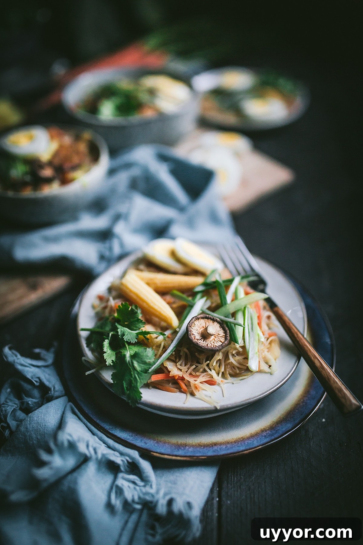 Authentic Filipino Chicken Pancit Recipe with Stir-Fry Noodles 15 hero shot of chicken pancit