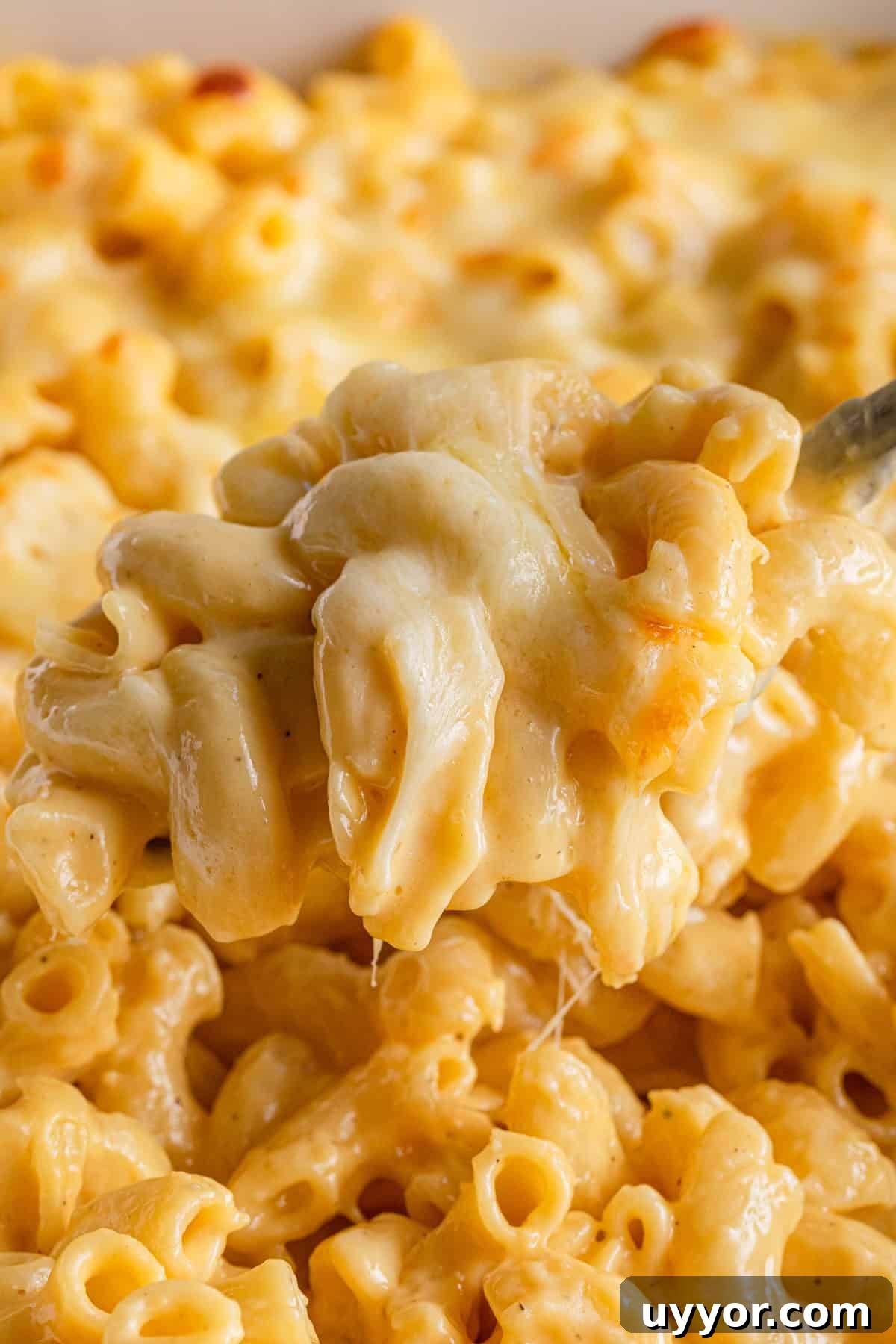 A scoop of baked mac and cheese.