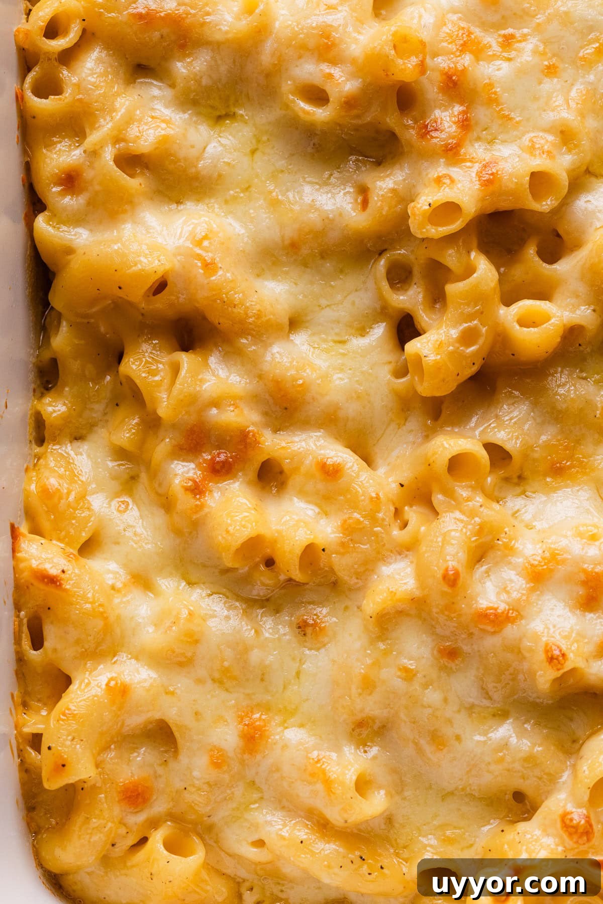 The completed mac and cheese in a baking dish.