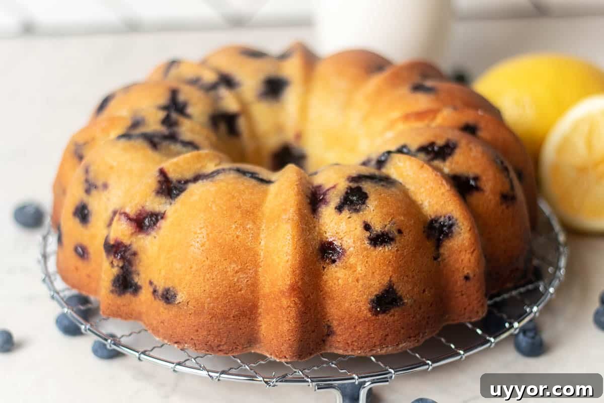 Blueberry Lemon Pound Cake Recipe with Zesty Glaze 14 Whole blueberry and lemon pound cake on a cooling rack, featuring blueberries and a golden-brown crust.