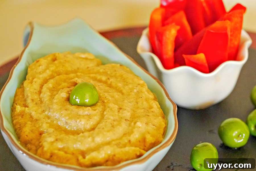44 Gluten-Free Appetizers for Entertaining: 2026 Party Recipes 13 low carb eggplant dip in a bowl