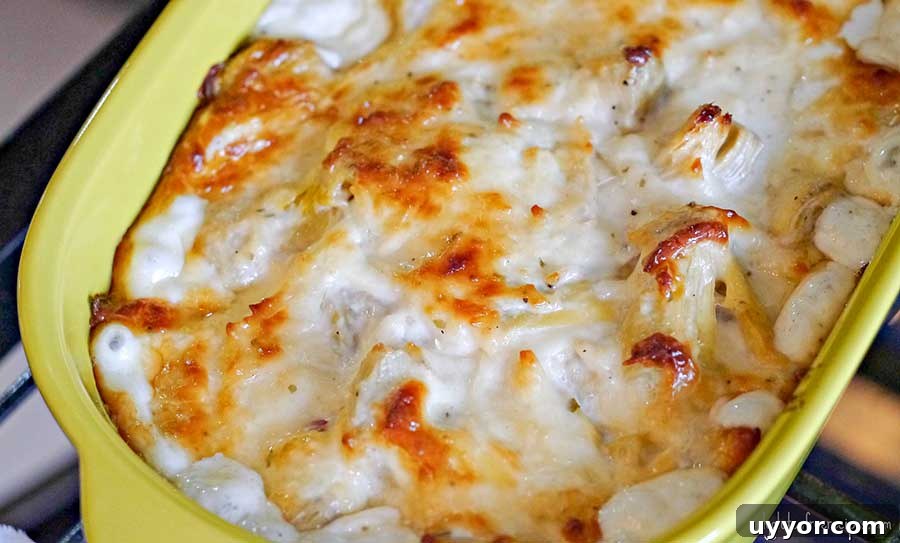 44 Gluten-Free Appetizers for Entertaining: 2026 Party Recipes 14 hot artichoke dip