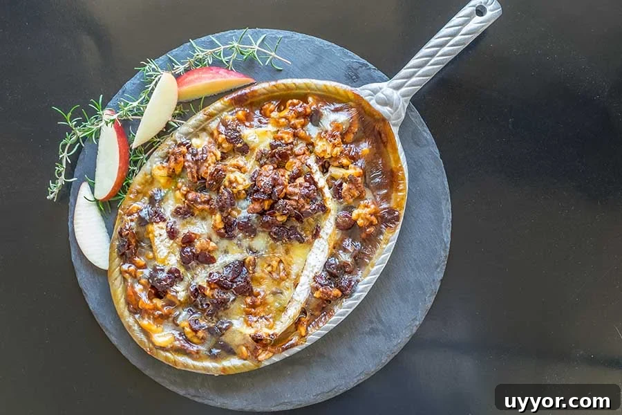 44 Gluten-Free Appetizers for Entertaining: 2026 Party Recipes 28 hot camembert dip appetizer in a skillet
