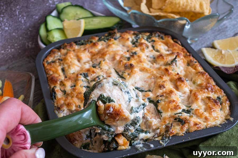 44 Gluten-Free Appetizers for Entertaining: 2026 Party Recipes 31 baked hot salmon dip in a pan