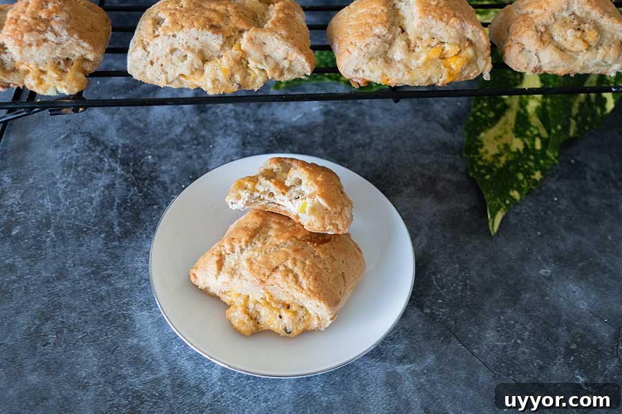 44 Gluten-Free Appetizers for Entertaining: 2026 Party Recipes 36 gluten free buffalo chicken biscuit on a small plate