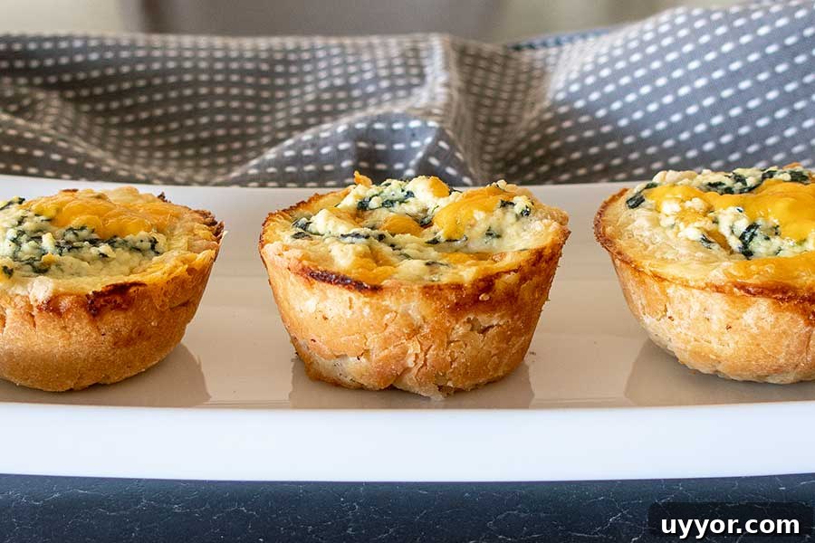 44 Gluten-Free Appetizers for Entertaining: 2026 Party Recipes 41 gluten-free puff pastry spinach cheese cups