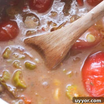 Broth and seasoning being mixed with other ingredients in large pot.