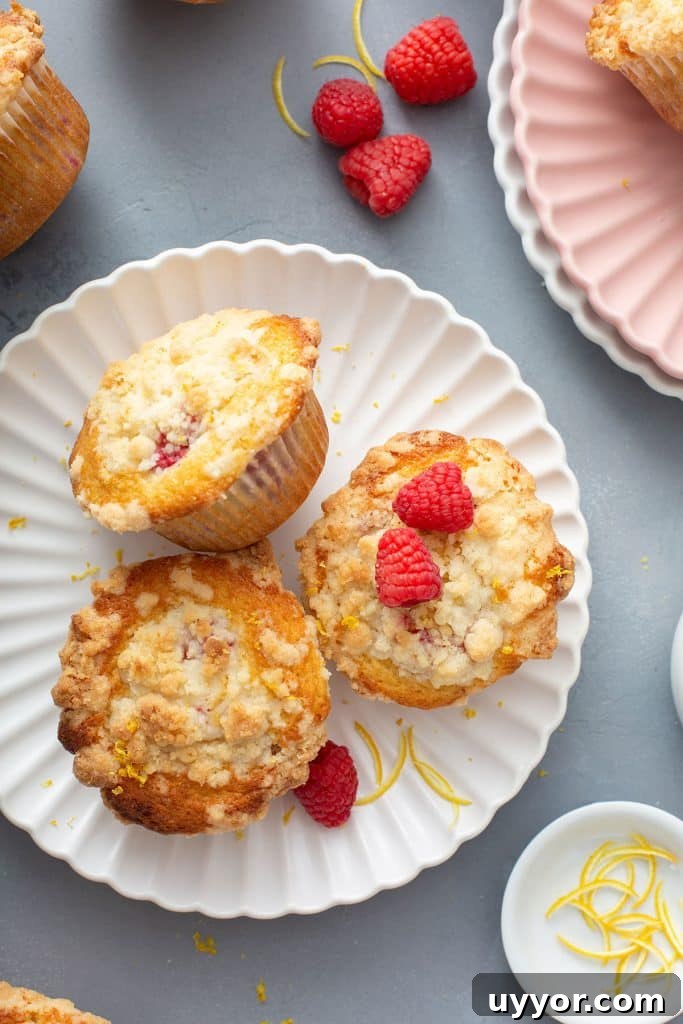 Three raspberry muffins with streusel on a white plate.