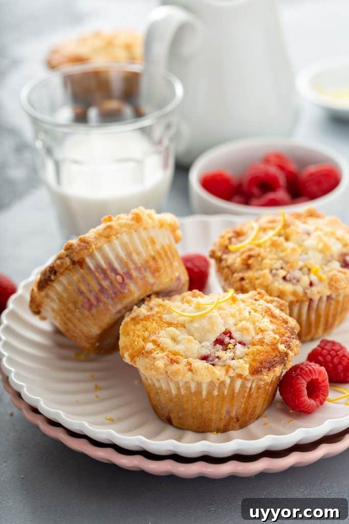 Three raspberry muffins with streusel on a white plate.
