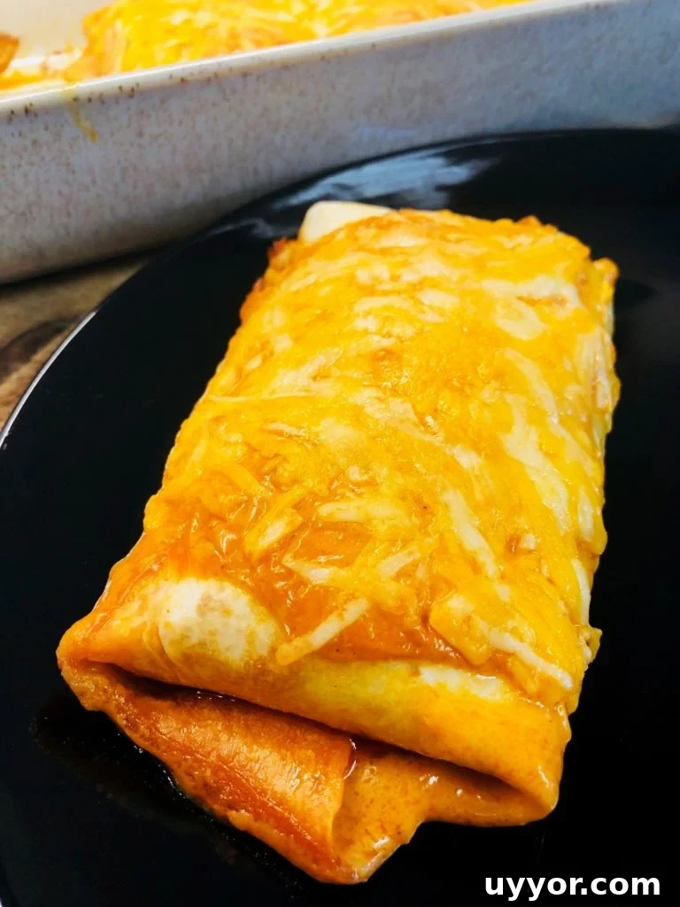 Smoked Buffalo Chicken Macaroni and Cheese Recipe 11 Buffalo Chicken Burritos
