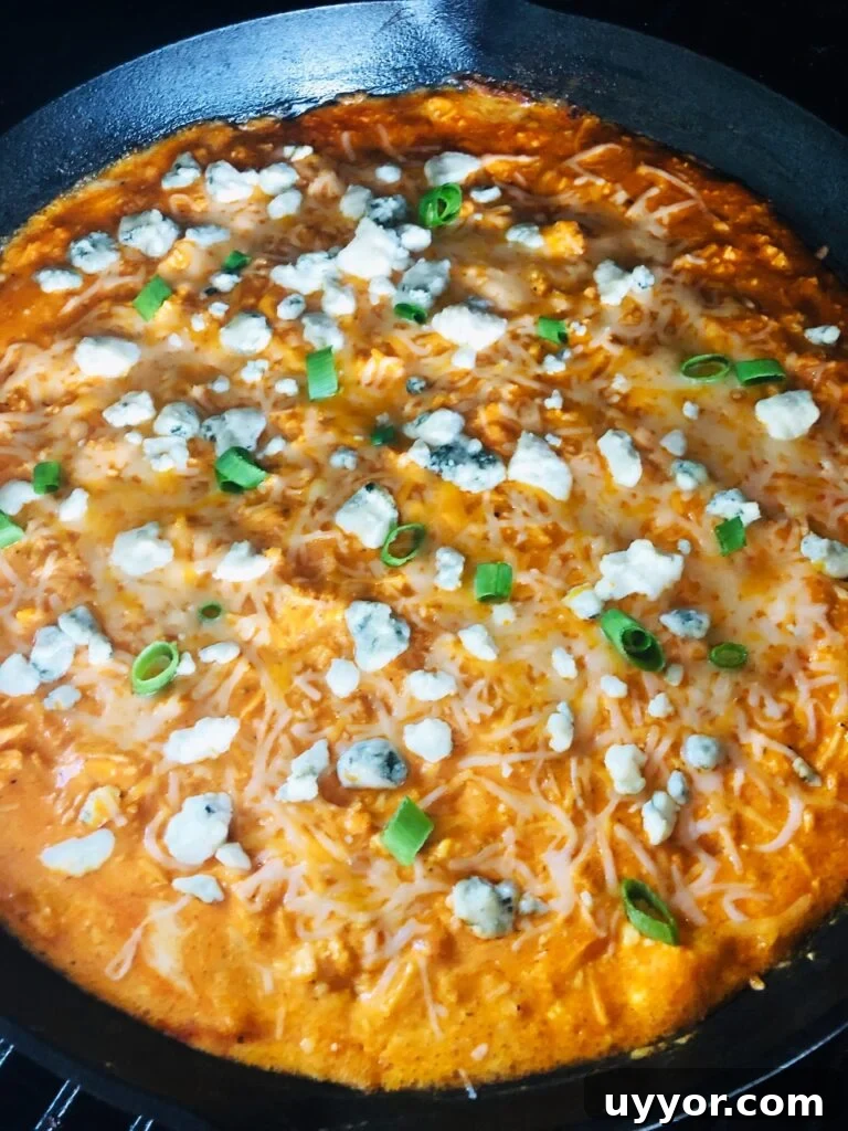 Smoked Buffalo Chicken Macaroni and Cheese Recipe 14 Traeger Smoked Buffalo Chicken Dip