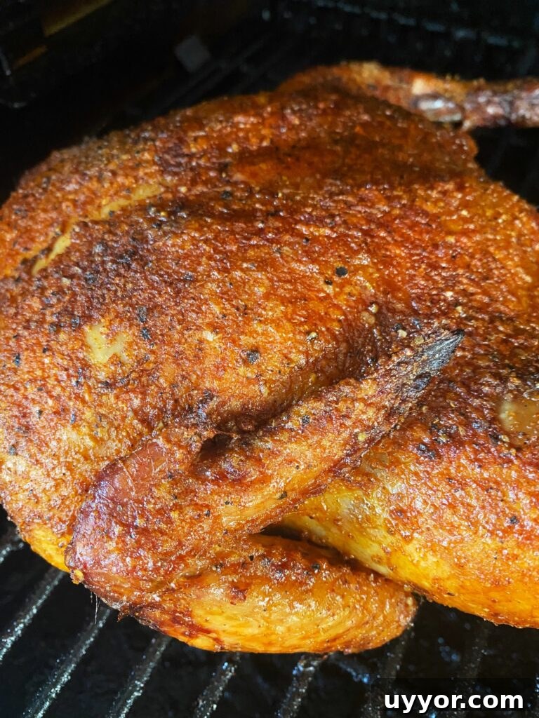 Smoked Buffalo Chicken Macaroni and Cheese Recipe 15 Smoked Nashville Hot Chicken