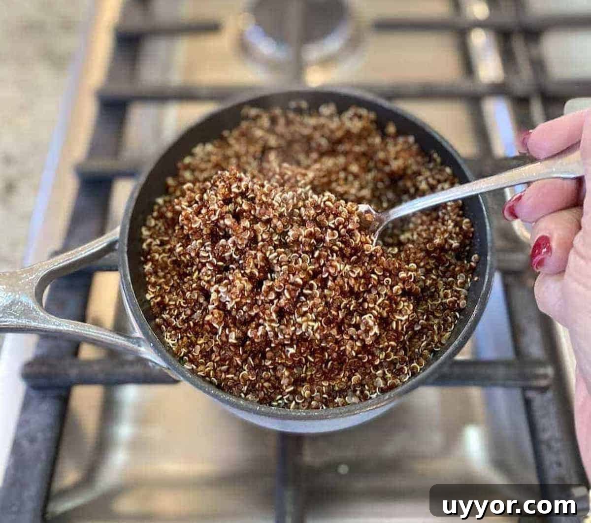 I am cooking quinoa on the stove.