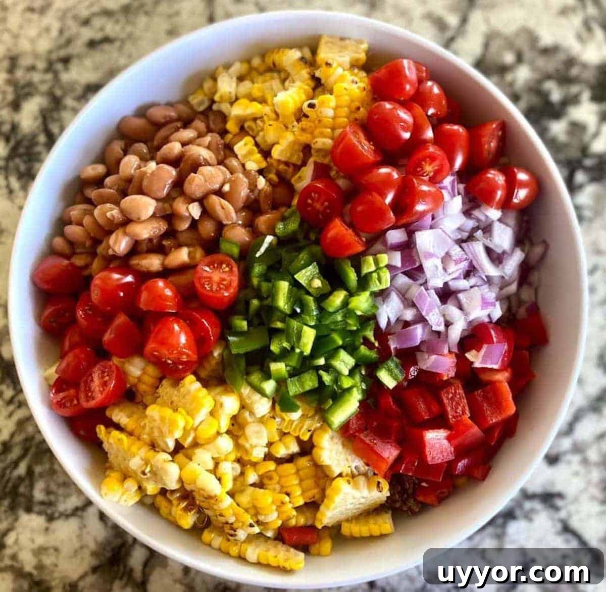 Mexican quinoa salad ingredients in a bowl: quinoa, pinto beans, corn, tomatoes, red onion, red bell peppers, and jalapenos.